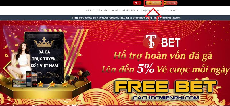 P3bet cung cấp những trò chơi có chất lượng cao nhất - P3bet