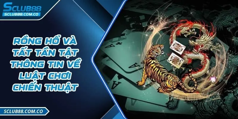 Kế hoạch Liên minh Người chơi 100Bet - 100Bet