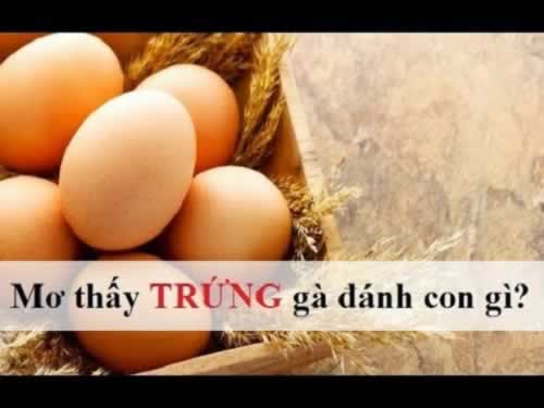 Ho88 Tất cả các nền tảng trực tuyến - Ho88