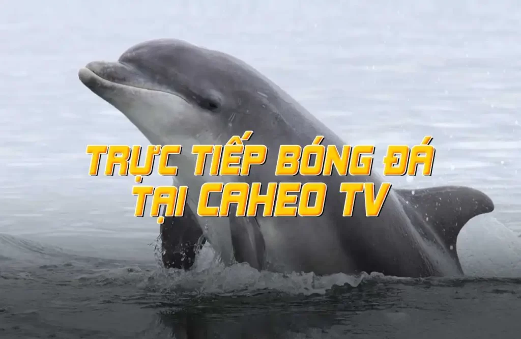 Việc đăng nhập vào hệ thống Hubet có đáng tin cậy không? - Hubet