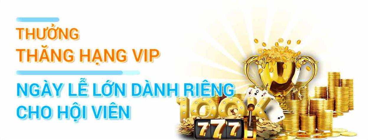 Đánh giá tổng thể của trò chơi thẻ bài cấp độ Dp568 - Dp568