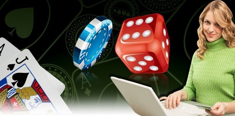 Gà chọi cấp Go99 có những ưu điểm gì thu hút người chơi? - Go99