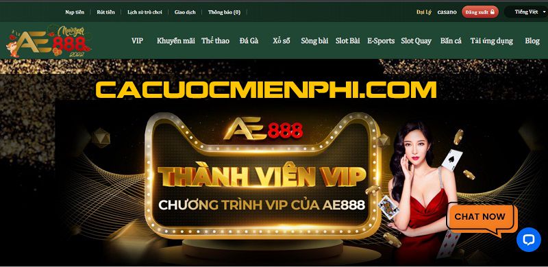 Gobet 2026 – Cổng game trực tuyến chất lượng cao - Gobet