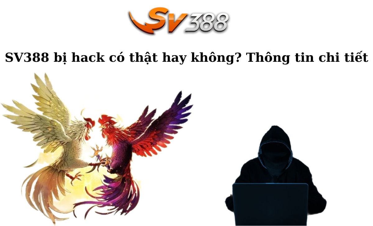 Tại sao người chơi lại ưa chuộng các sòng bạc trực tuyến có xếp hạng Go88? - Go88