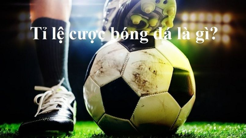Link cập nhật phiên bản Fabet mới nhất năm 2026 - Fabet