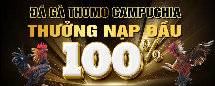 Tôi có thể nhận được phần thưởng khuyến mãi 100000 điểm Vn6 bằng cách nào? - Vn6