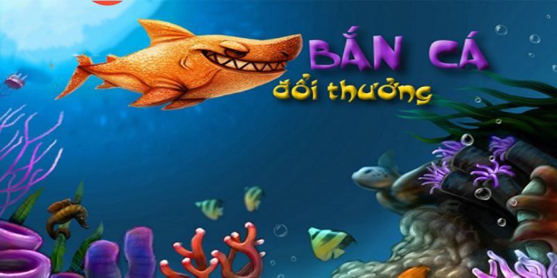 Cổng game trực tuyến được xếp hạng K8cc này cung cấp nhiều lựa chọn cá cược khác nhau - K8cc