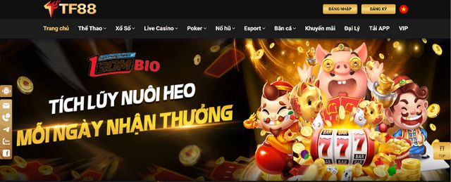 Giải thưởng đầy đủ của I999 2026: 5000 Reais + 500 vòng quay miễn phí + hoàn tiền 10% - I999
