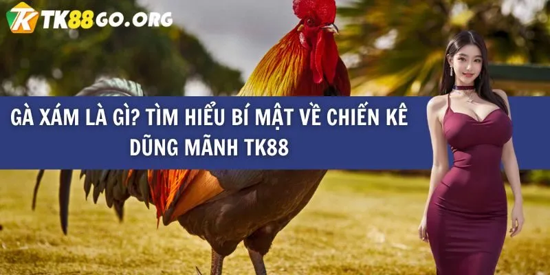 Ae888 cung cấp các đảm bảo an ninh - Ae888