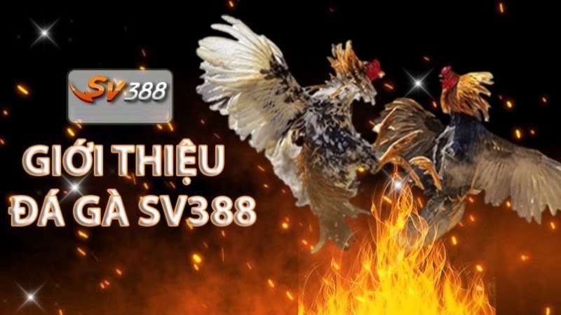 Thông tin về trang web chơi game trực tuyến 130Bet - 130Bet