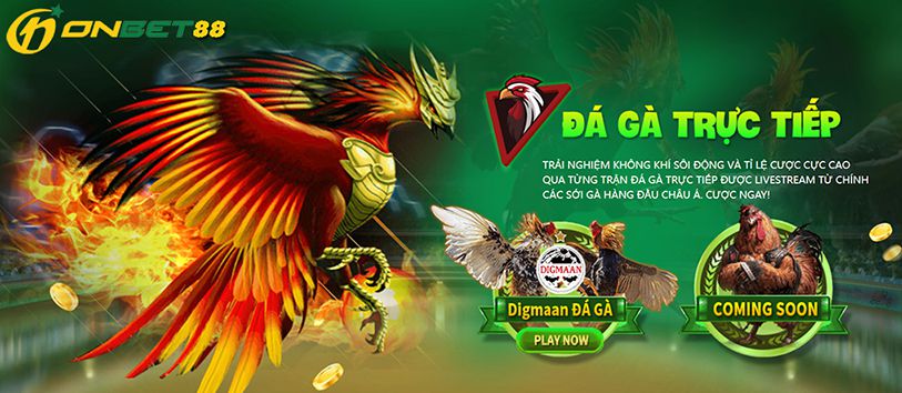 Đối tác đặt chỗ Zalv - Zalv