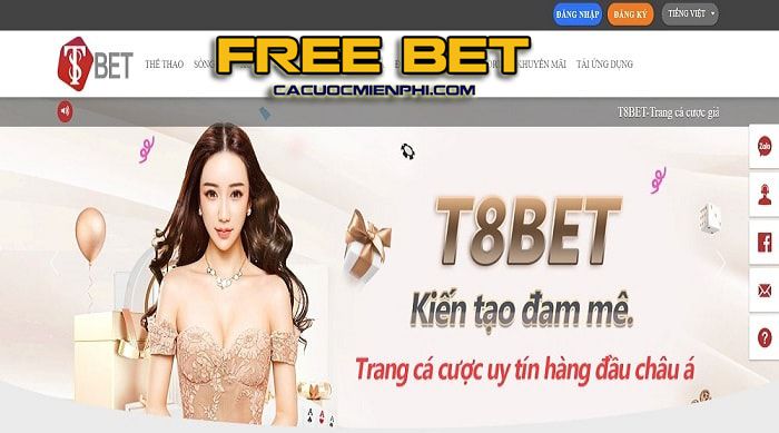 Vt999 23 sẽ đánh giá dịch vụ hỗ trợ khách hàng như thế nào? - Vt999